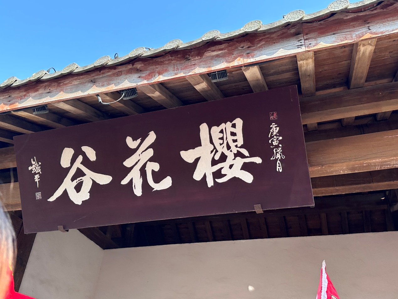 图片 8